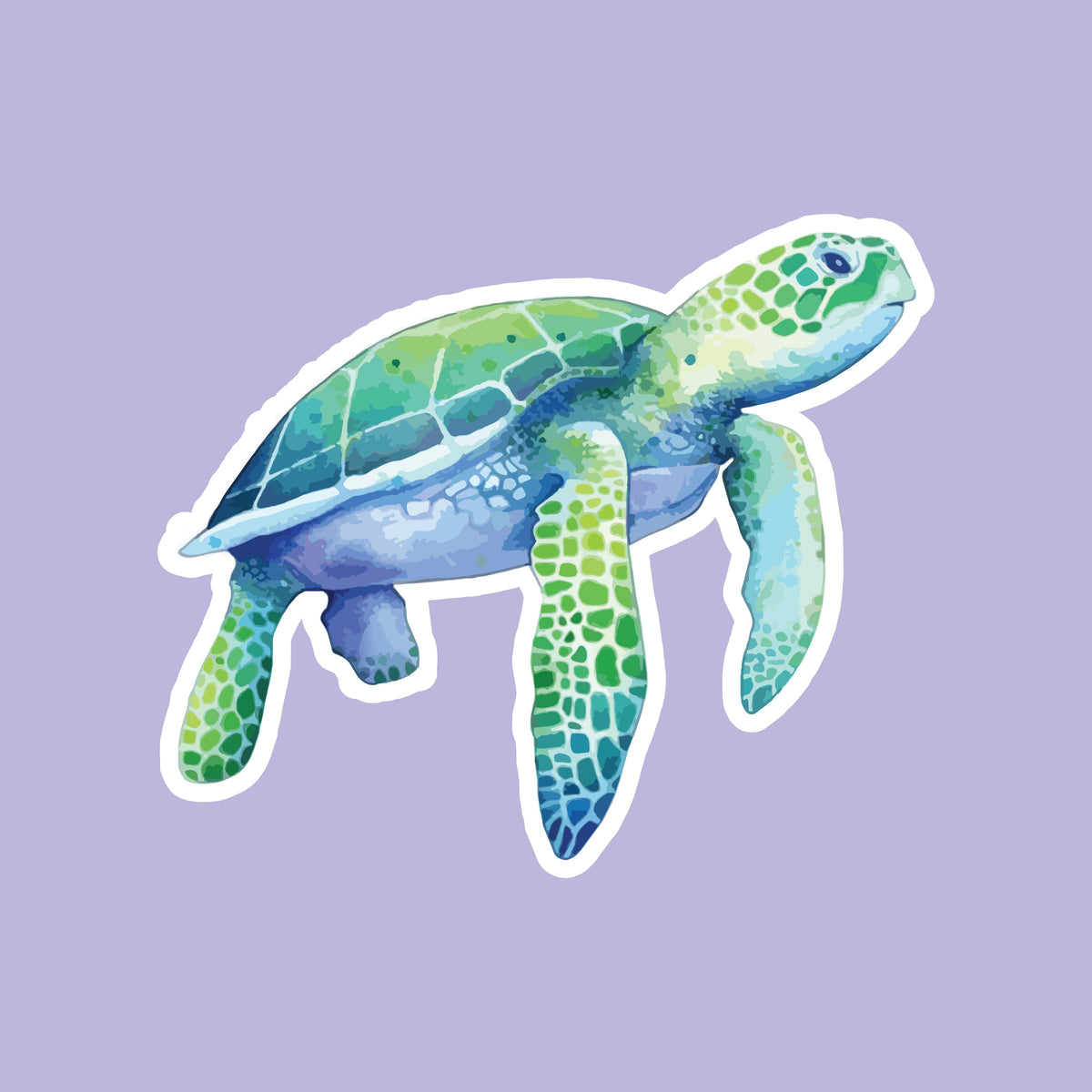 Sea