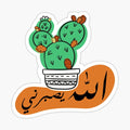 Alla_ysaberni
