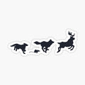 Animals