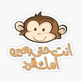 Arabic_Funny__2