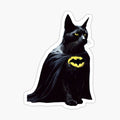 Bat cat
