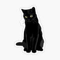 Black Cat  3