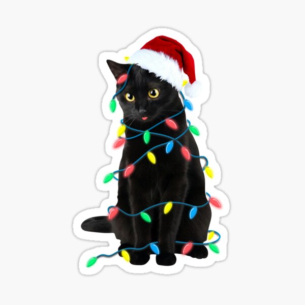 Black Cat Christmas