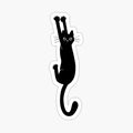 Black Cat Holding On