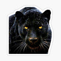 Black Jaguar