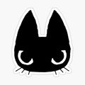 Black Kitty