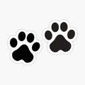 Black Paw Prints