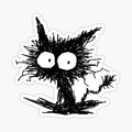 Black Unkempt Kitten
