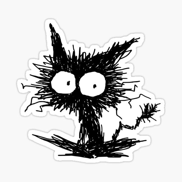 Black Unkempt Kitten