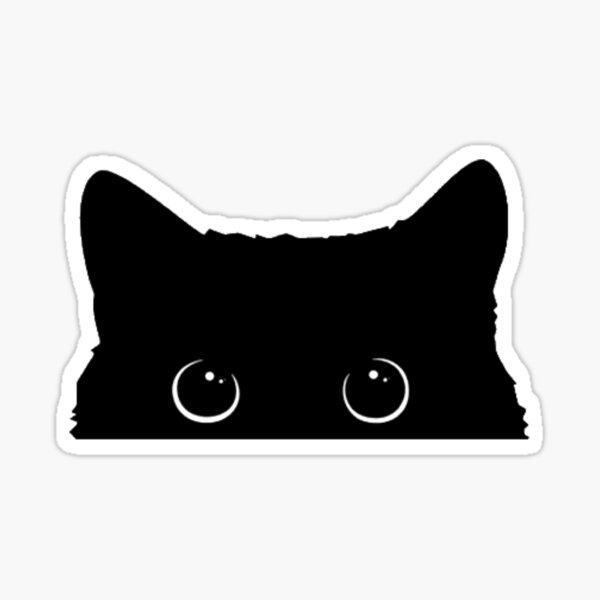 Black cat  2