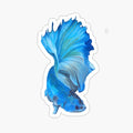 Blue Beta