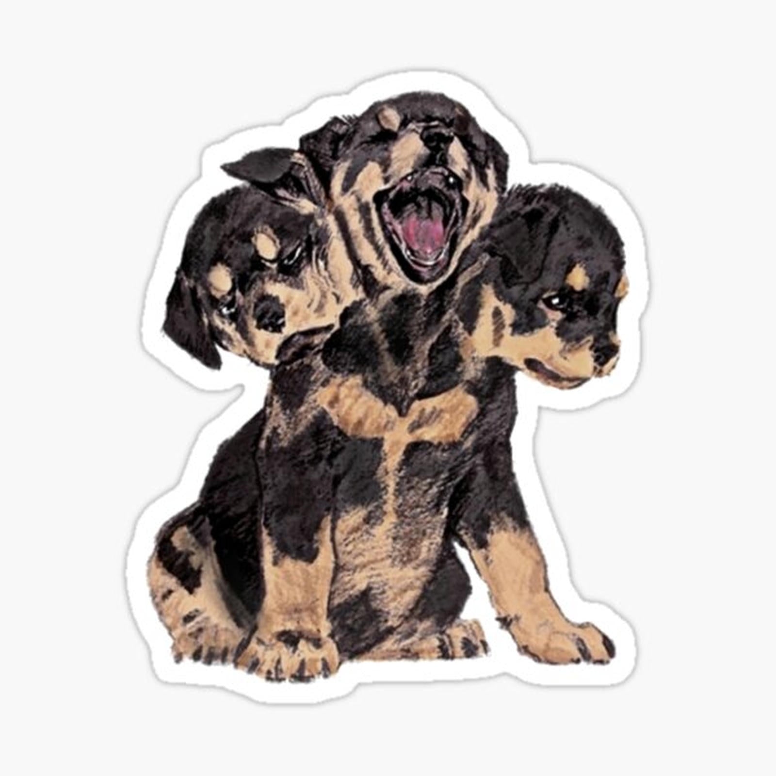 CERBERUS