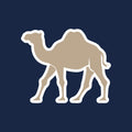 Camel