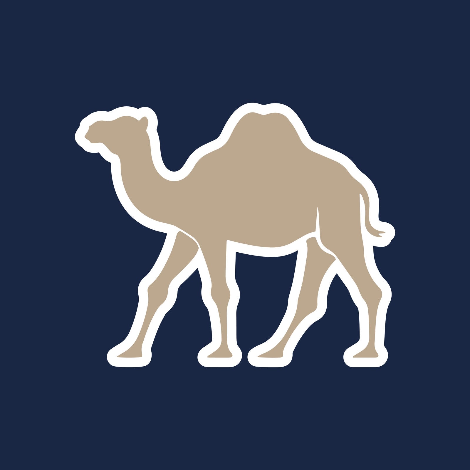 Camel