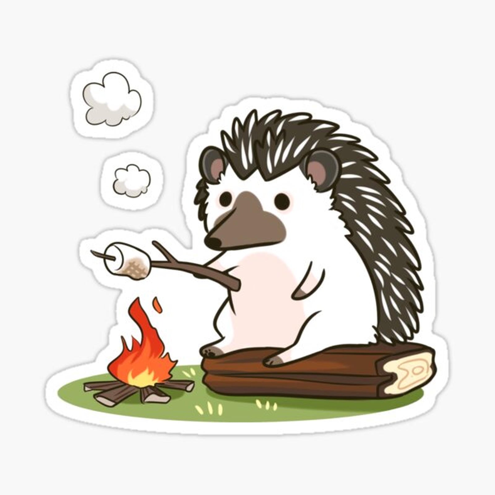 Campfire