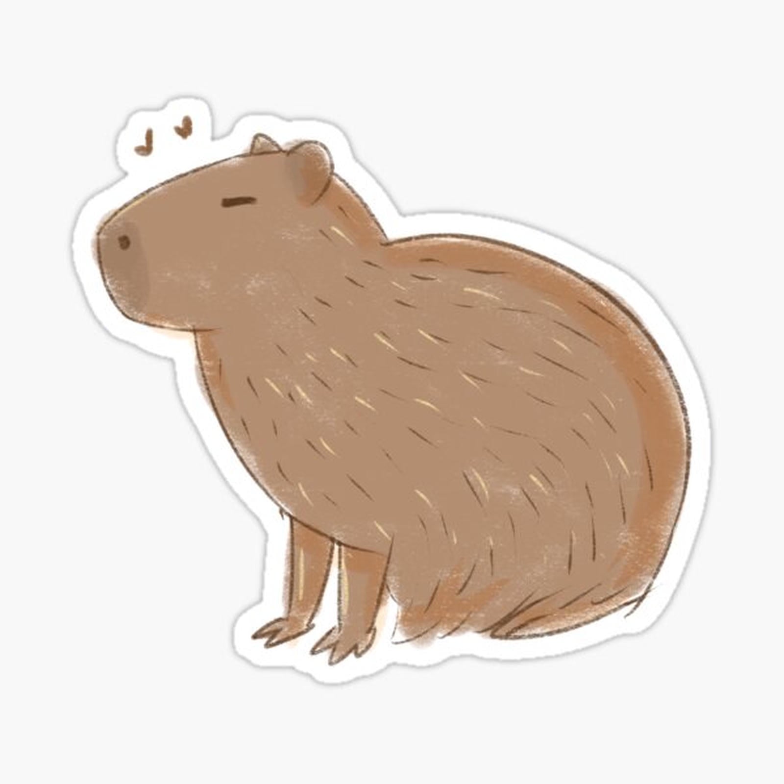 Capybara