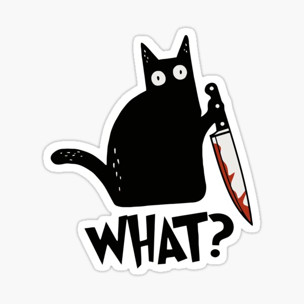 Cat What