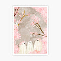 Cherry Blossom