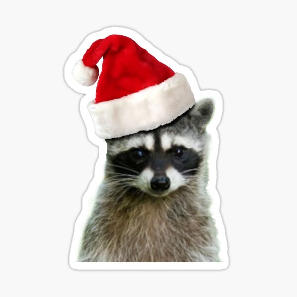 Christmas Raccoon