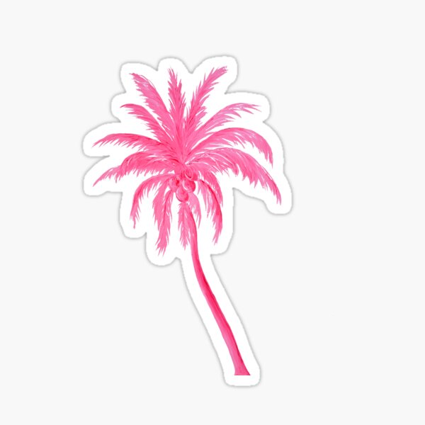 Coconut Palm Tree