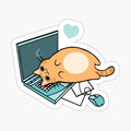 Cute Laptop Cat