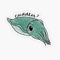 Cuttlefish