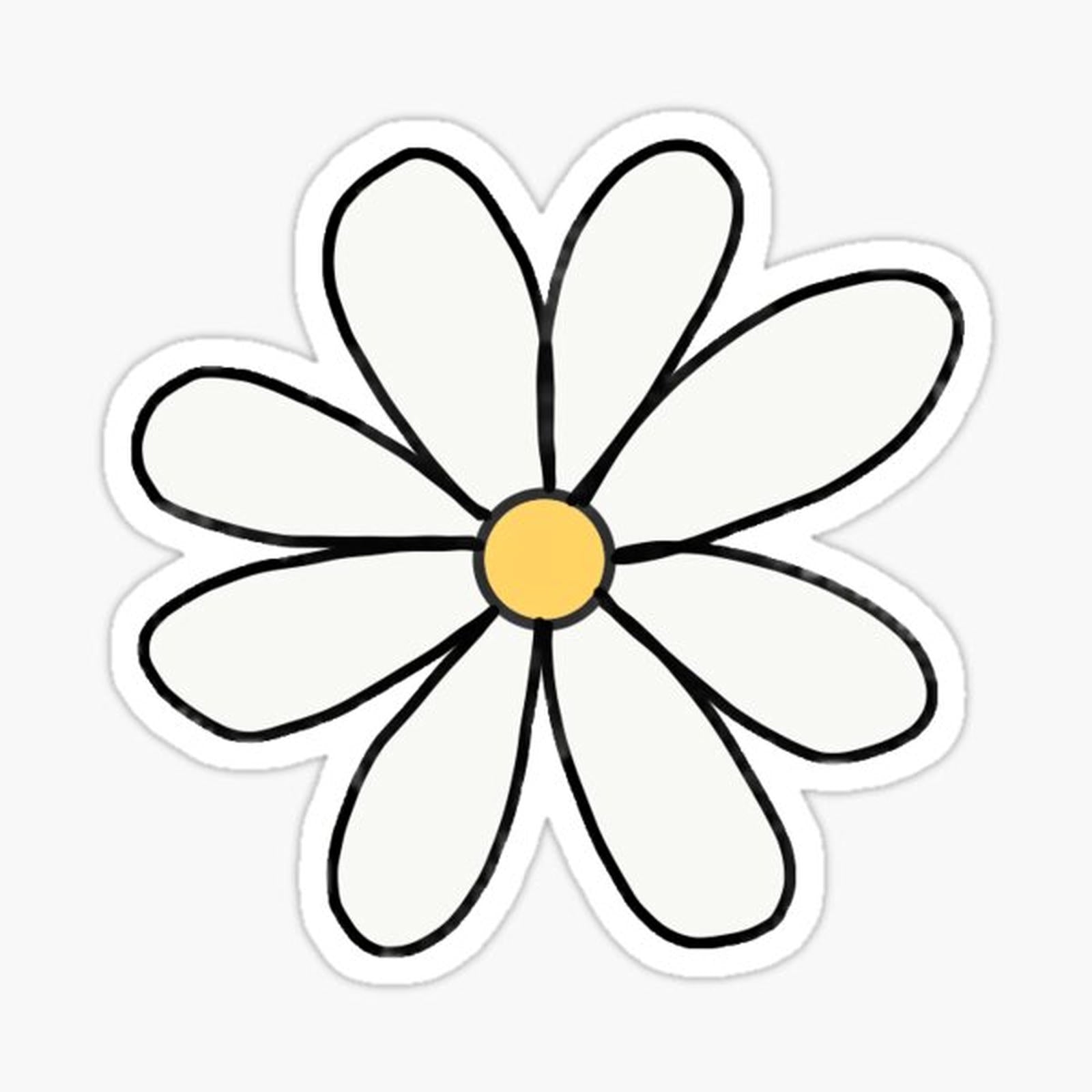 Daisy