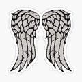Daryl Wings