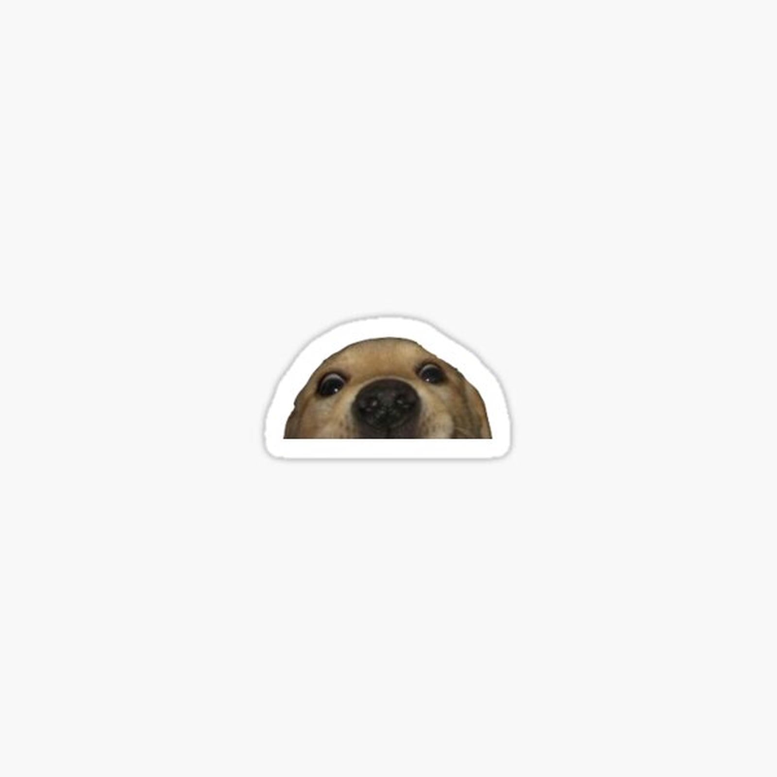 Doggo