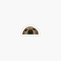 Doggo