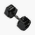 Dumbbell