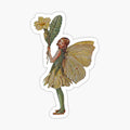 Fairy
