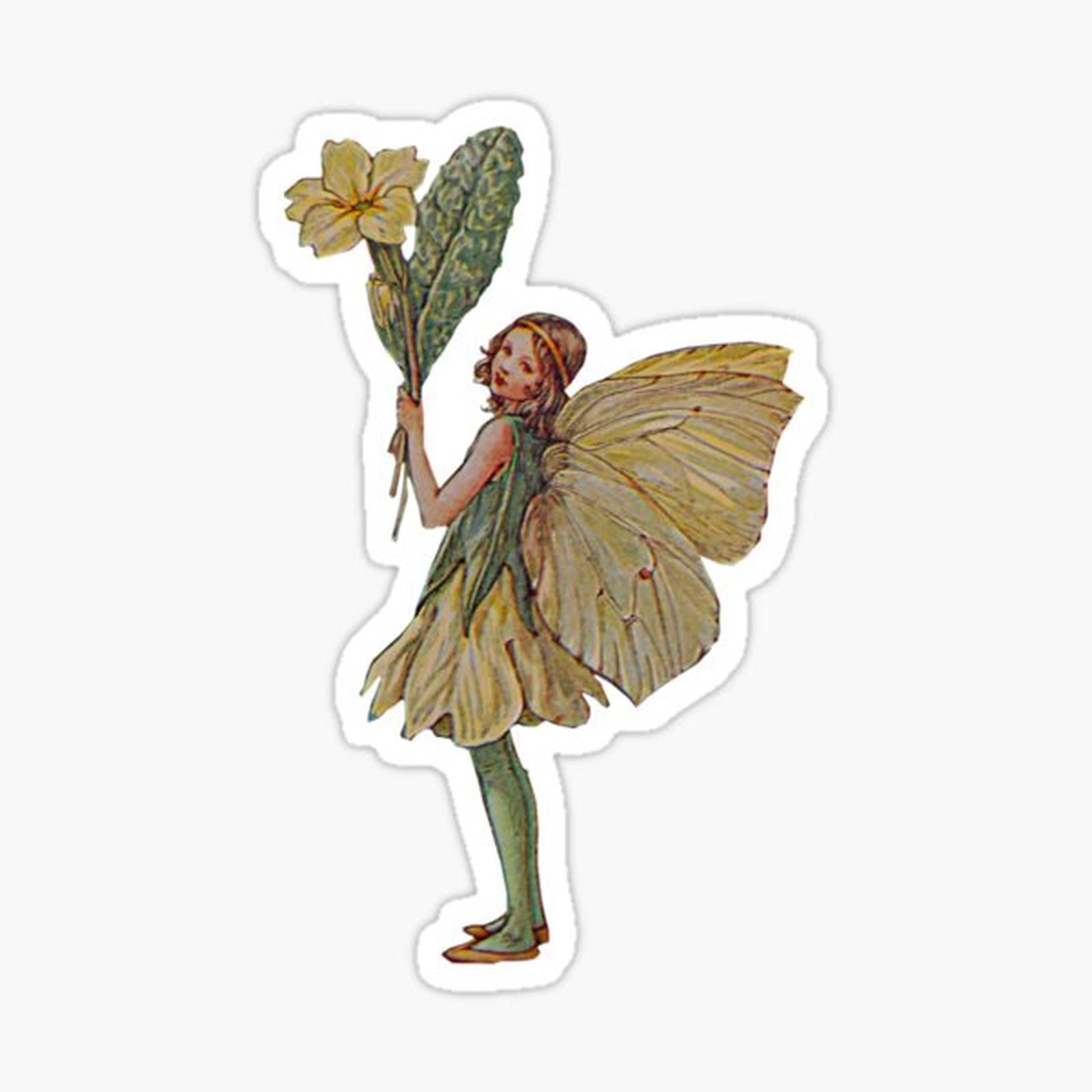 Fairy