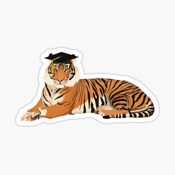 Graduation Tiger