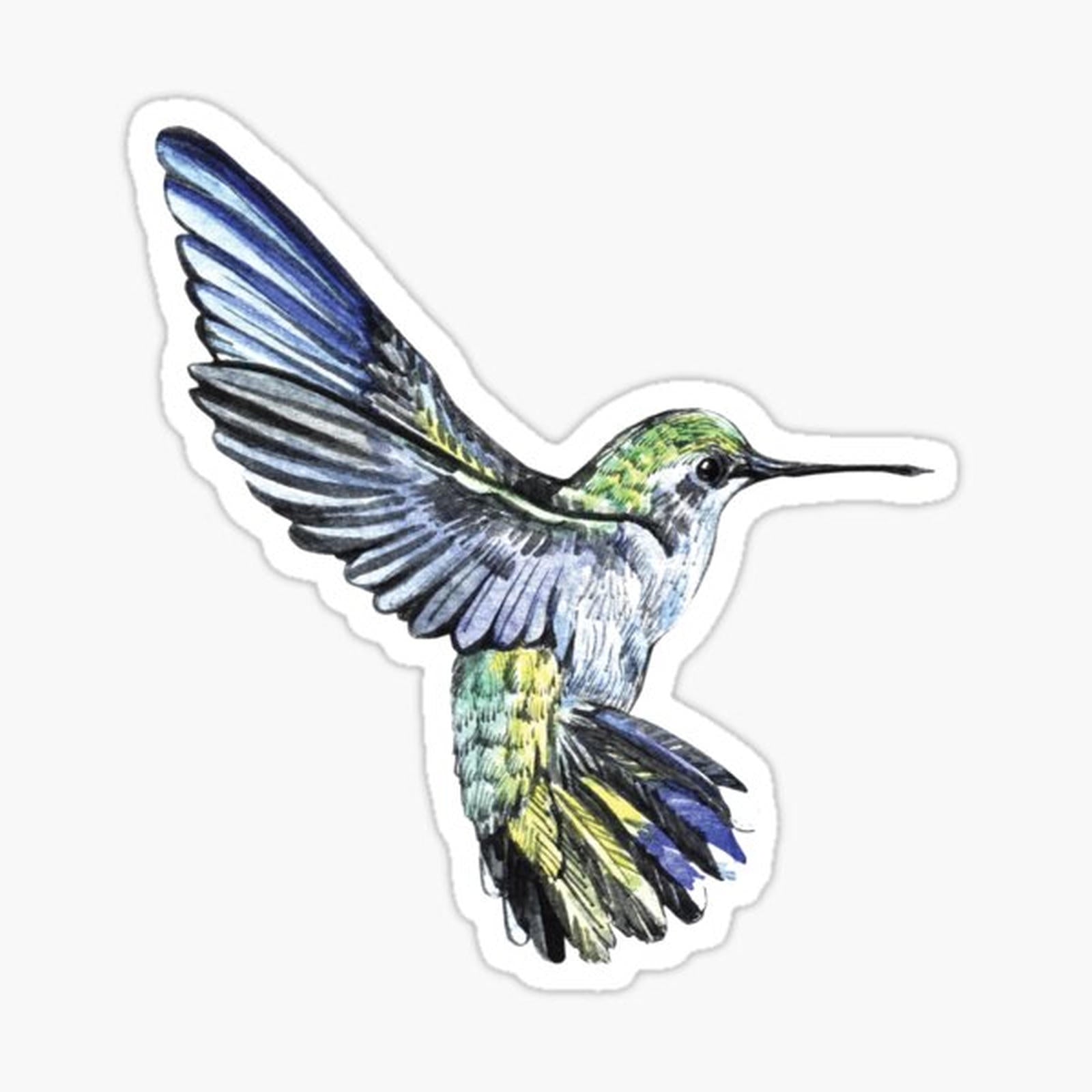 Hummingbird