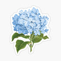 Hydrangea Flower