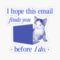 I hope this email finds you cat