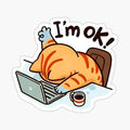 I’m Ok Cat