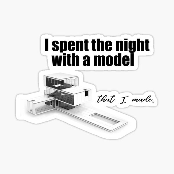I spent the night with a model.