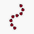 Ladybugs