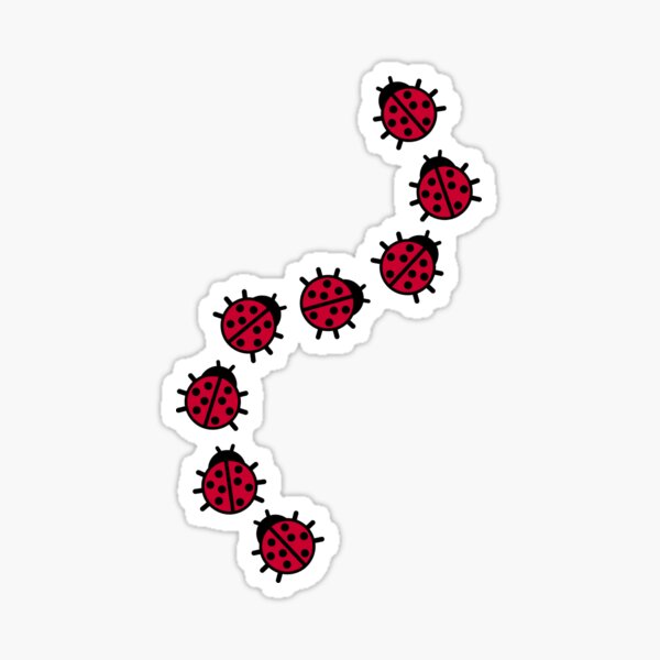 Ladybugs