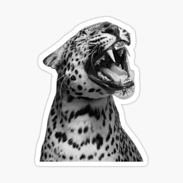 Leopard Print