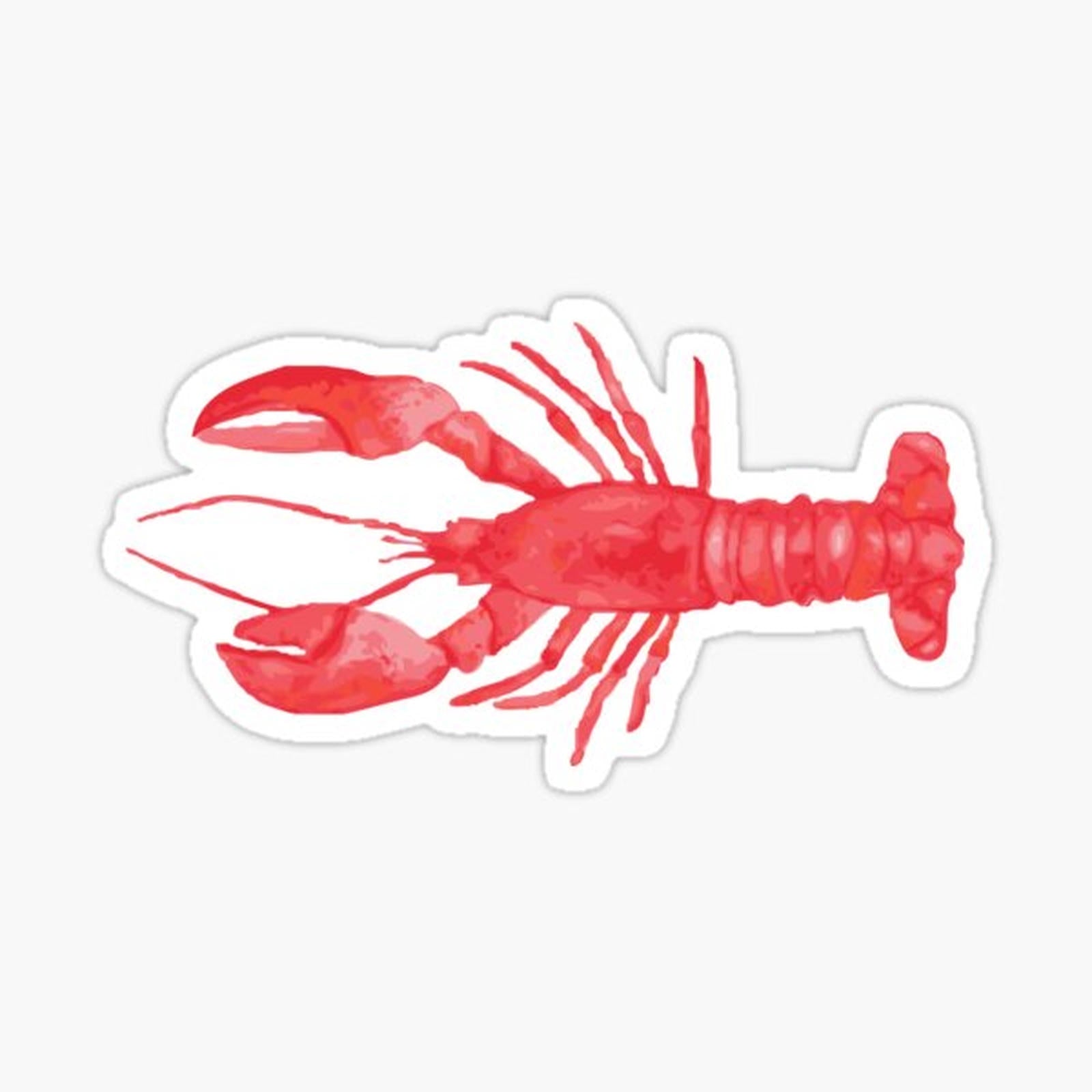 Lobster