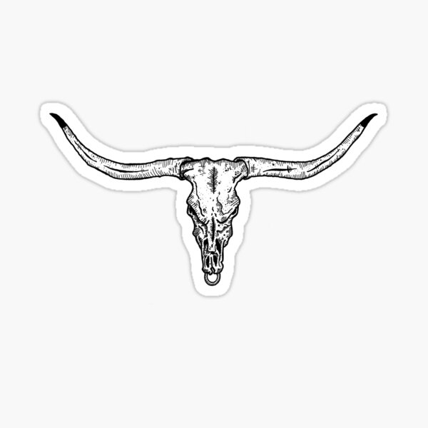 Longhorn Skull