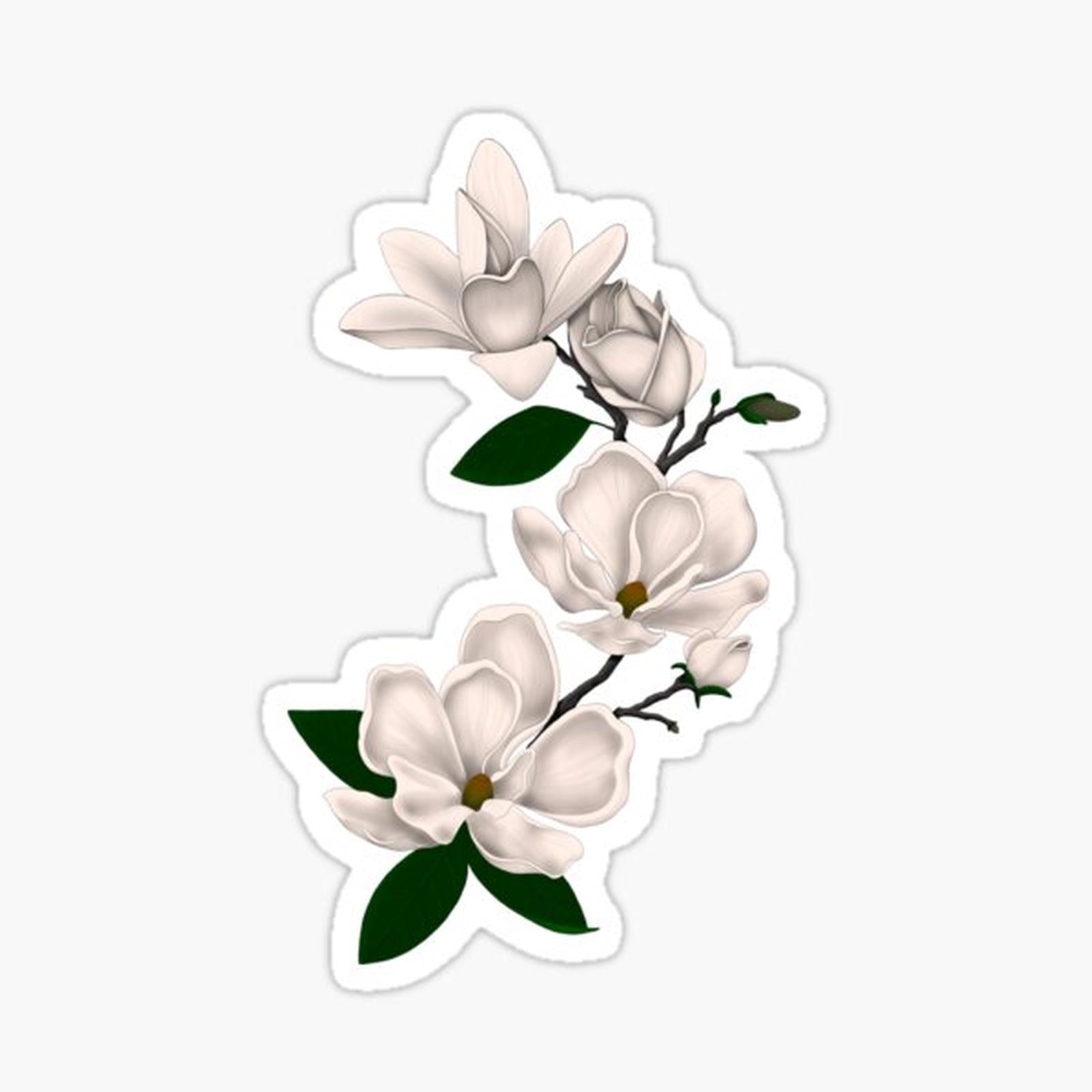Magnolias