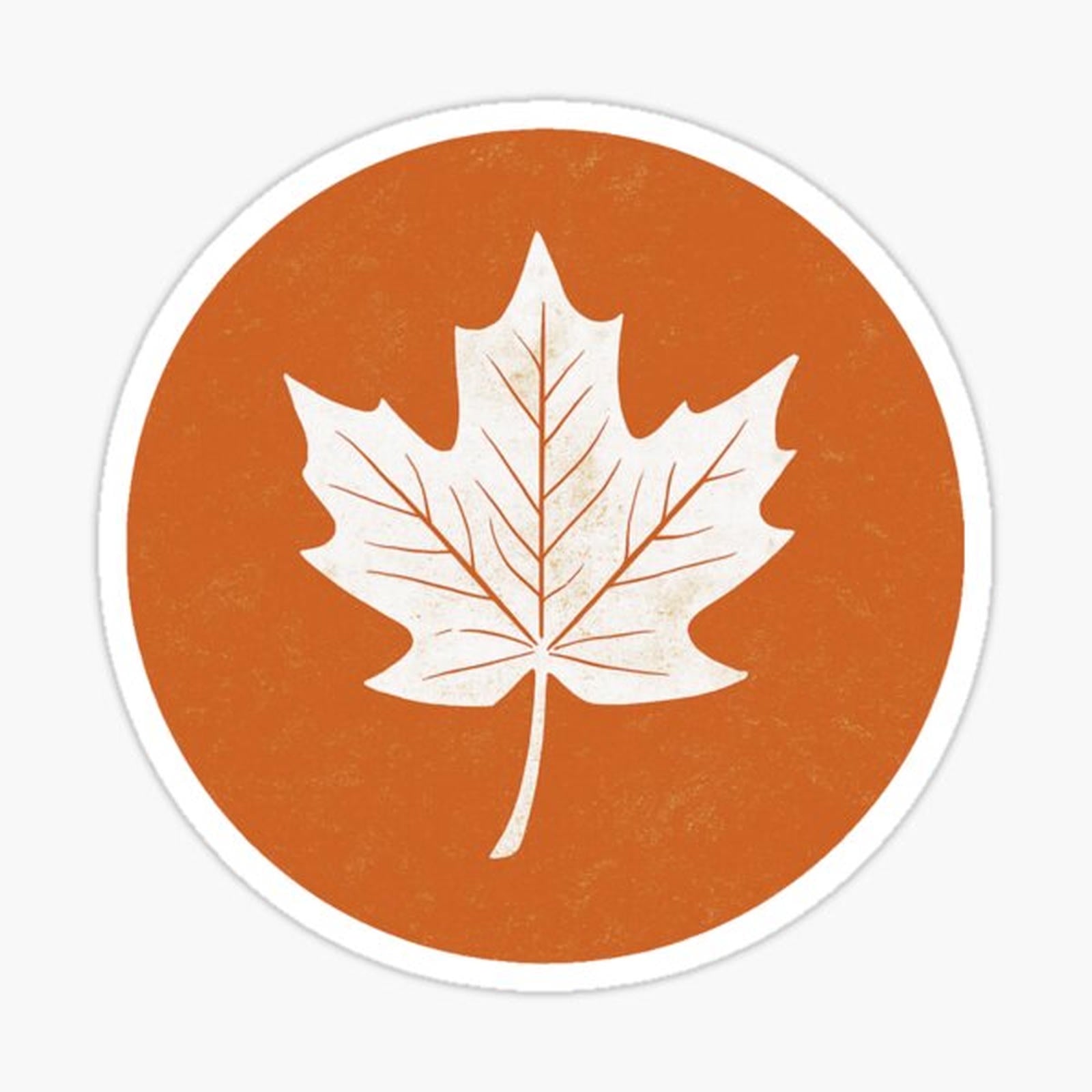 Maple