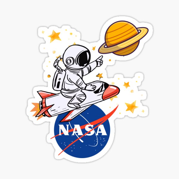 Nasa Astronaut