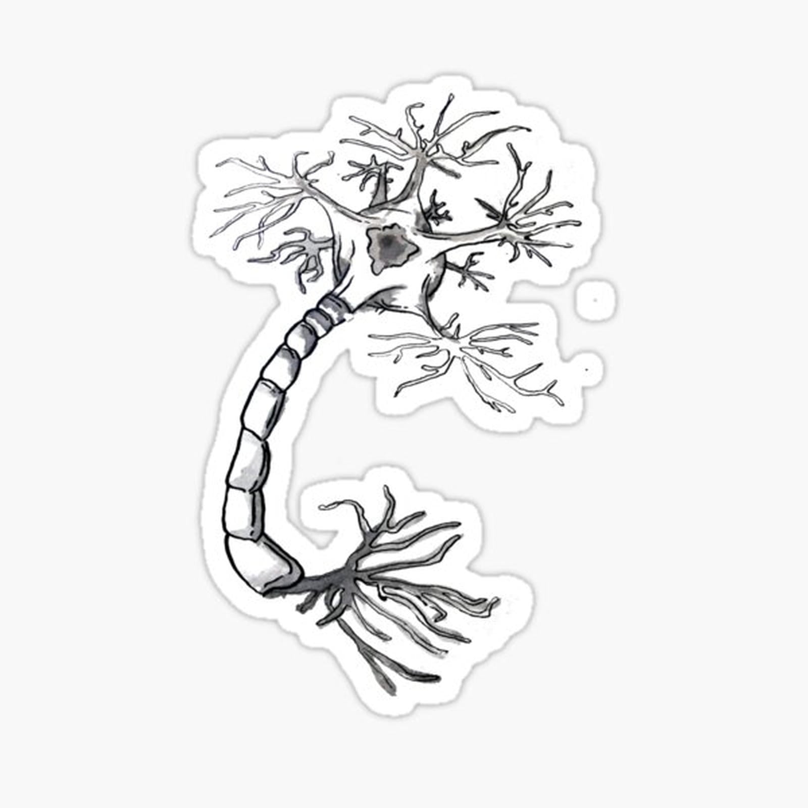 Neuron