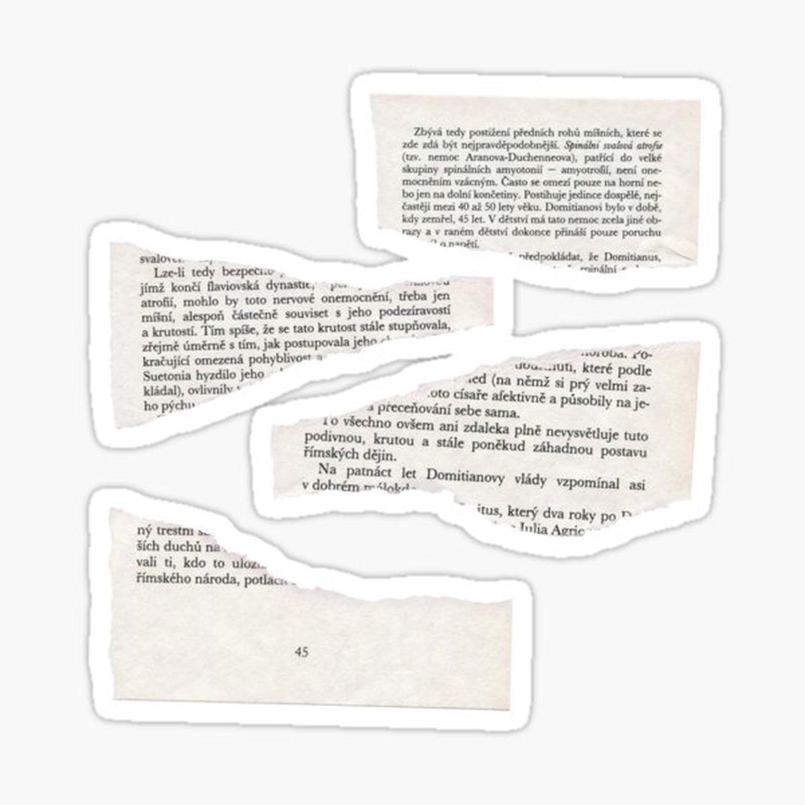 Newspaper