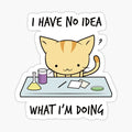 No Idea What I'm Doing